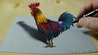 Drawing Anamorphic Rooster for Kids & Adults - How to Draw 3D Rooster - Trick Art on Paper