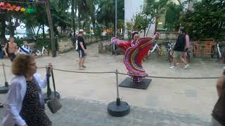 Entertainment at the Crazy Mexican- Playa Del Carmen