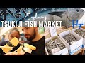 Tsukiji Fish Market🐟| Tokyo Street Food| Is it the Best Sushi in Tokyo?