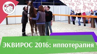 Первое занятие иппотерапией с ребёнком с РАС ЭКВИРОС 2016 на ilikepet