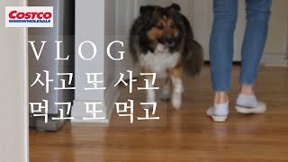 [SUB] 미국일상/ 사고 또 사는 코슷코 아이템으로 더 쉬운 요리/새우튀김롤/기름 소떡소떡/라면보다 쉬운 국물요리 비법/VLOG