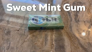 Orbit Sweet Mint Gum