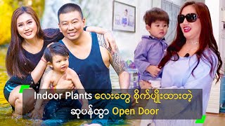 Indoor Plants လေးတွေ စိုက်ပျိုးထားတဲ့ ဆုပန်ထွာ Open Door