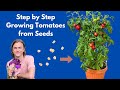 How To Grow Tomatoes From Seed At Home ! Complete Instructions Step By Step