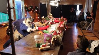 Santa's Elves - Dogs and Cats with Human Hands Making Toys - Freshpet Behind The Scenes