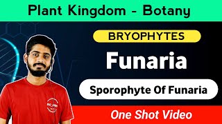 Bryophyte - Funaria of Sporophyte | Funaria sporophyte Structure | By Aman Bhaiya