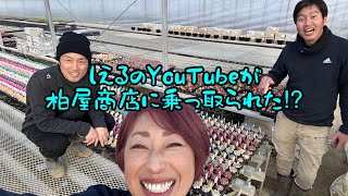 【多肉植物】しえるのYouTubeが柏屋商店@kashiwaya_shoten に乗っ取られた⁉︎