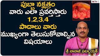 పుబ్బా నక్షత్రం వారు ఎలా ప్రవర్తిస్తారు? | Pubba Nakshatra Behavior In Telugu | Nanaji Patnaik