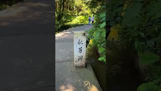 地下奇景 秋芳洞 探索3亿年的自然奇迹 在山水间 好山好水好风景 旅行推荐官 风景  #Airport #日本地陪 #日本司导 #日本接送机 #日本旅行攻略