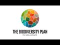 1 year in review of the Kunming-Montreal Global Biodiversity Framework.