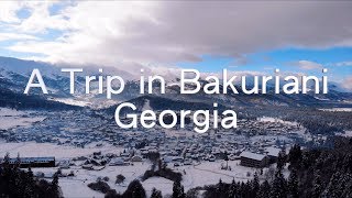 A Trip in Bakuriani Georgia (2019 New Year)