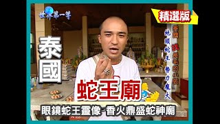 【泰國】超靈驗蛇王廟 祭拜流程規矩大公開｜《世界第一等》122集小馬精華版