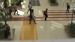 Sample Video for Crowd Analysis