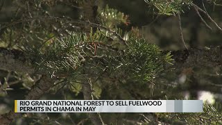 Rio Grande National Forest offering fuelwood permits to Chama citizens