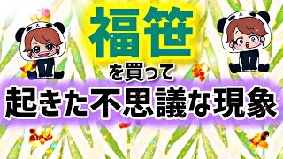 福笹を買って起きた不思議な現象！🐼‪🎋‬