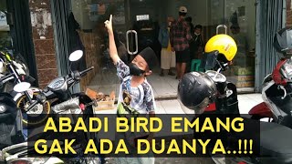 ABADI BIRD TANGERANG HARGA 🦜MURAH MERIAH