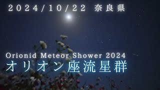 2024.10.22 極大翌日のオリオン座流星群の夜、コスモス畑。34個の流れ星を撮影│Orionid Meteor Shower│リアルタイム星空動画│SONY α7SIII