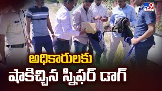 అధికారులకు షాకిచ్చిన స్నిఫర్ డాగ్ | Kazipet Railway Station - TV9