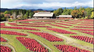 2020年秋のみちのく公園