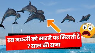 भारत के गज़ब के Facts 😱😭Unique Facts About India 🇮🇳💖 Intersting Facts Amazing Facts#facts #shorts