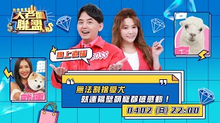 【大老闆聯盟 第七季】EP8 療癒寵物大集合 薔薔慘遭草泥馬狂啃？│ Vidol.tv