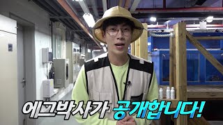 [국립생태원] 에코리움 전시수조실 탐방~