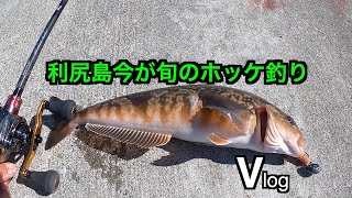 【利尻島防波堤のホッケ釣り】ホッケもカレイ凄かった‼️