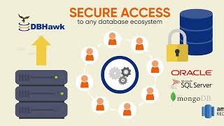DBHawk: The Only Database Security Solution You'll Ever Need | DBHawk Secure Database Access