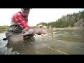 craig montana missouri river fly fishing fishcamp creative montana