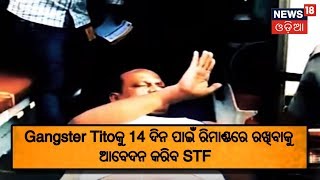 Gangster Tito କୁ 14 ଦିନ ପାଇଁ ରିମାଣ୍ଡରେ ରଖିବାକୁ ଆବେଦନ କରିବ STF | News18 Odia