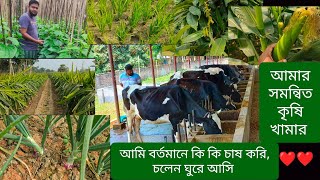 চলেন আমার সমন্বিত কৃষি খামার থেকে ঘুরে আসি। আমি কি কি চাষ আবাদ করি?