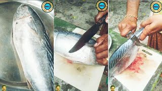 ഇനി മീൻ മുറിക്കാൻ അറിയില്ല എന്ന് പറയരുത് /Fish cutting/Easy fish cutting