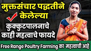 मुक्तसंचार पद्धतीने केलेल्या कुक्कुटपालनाचे  महत्वाचे फायदे ! Free Range Desi / gavran Poultry 🐓🐔🐤🐣