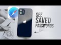 How to See Password Saved on iPhone (tutorial)