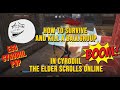 How to survive and kill a Ballgroup in Cyrodiil PvP- The Elder Scrolls Online