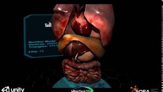 Sofa-Unity - 3D human internal organs multi-threaded simulation
