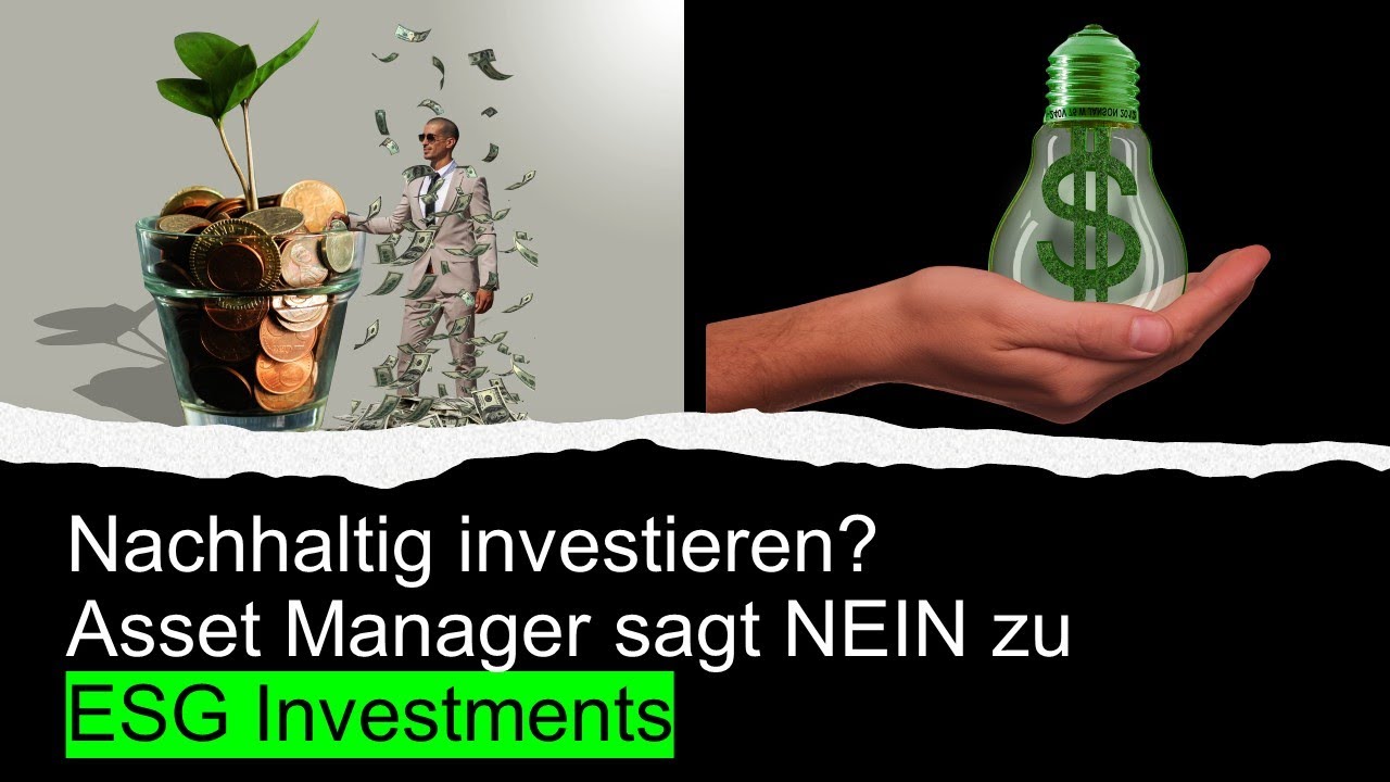 Nachhaltig Investieren? Asset Manager Sagt Nein Zu ESG Investments ...