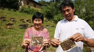 浙江老蜂农携老伴居住陕西秦岭深山，搞示范养蜂场，传授养蜂绝技