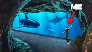 Enter America's *LARGEST* Aquarium & Underwater Zoo!! - (Private Tour)