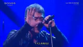 吉川晃司「ラヴィアンローズ」