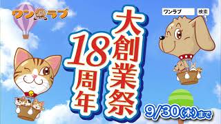 ペットショップワンラブ 18周年大創業祭開催中