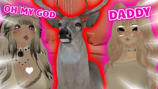 people react to a deer with a deep voice on vrchat