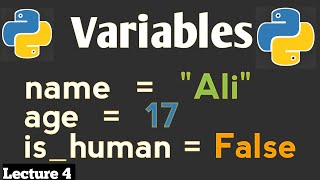Python Variables Explained | Beginner-Friendly Tutorial in English (2025)