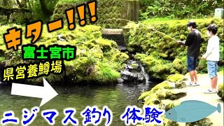 [Rainbow trout fishing]ニジマス釣り体験してきました!! 富士山麓キャンプ 富士宮市 静岡県営富士養鱒場 移住 田舎暮らし Fujinomiya Japan