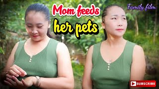 Breastfeeding Puppies Luxuretv