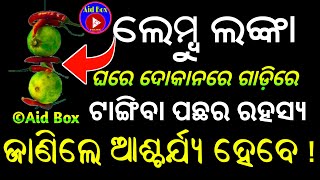 ଲେମ୍ବୁ ଲଙ୍କା ଟାଙ୍ଗିବା ପଛର ରହସ୍ୟ ଜାଣିଲେ ଆଶ୍ଚର୍ଯ୍ୟ ହେବେ | Tantra Mantra Benefits Of Lemon Chilli Usage