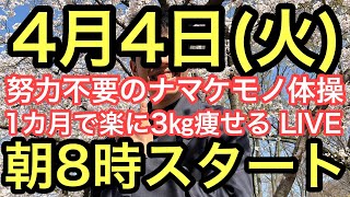 【4月から始めましょう】朝8時スタート！無理なく1ヶ月で3㎏痩せよう！ナマケモノの健康LIVE