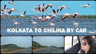 Kolkata to Chilika via Puri by Car | Kolkata to Barkul by Car | Kolkata to Rambha | Odisha Road Trip