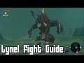 Fight This Boss DONT RUN, Easy Battle Lynel - Zelda Breath of the Wild