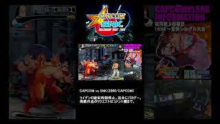 【CAPCOM vs SNK】ライデン疑似時間停止